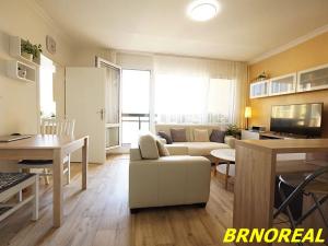 Prodej bytu 2+kk, Brno, U pošty, 45 m2