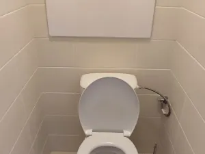 Pronájem bytu 1+kk, Ostrava, Gen. Janouška, 32 m2