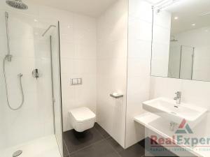 Pronájem bytu 4+kk, Praha - Radlice, Radlická, 184 m2