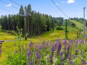 Prodej rodinného domu, Josefův Důl, 165 m2