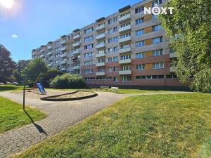 Pronájem bytu 1+kk, Pardubice, Kosmonautů, 38 m2