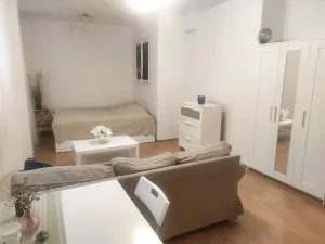 Pronájem bytu 1+kk, Praha - Nové Město, Vladislavova, 30 m2