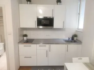 Pronájem bytu 1+kk, Praha - Nové Město, Vladislavova, 30 m2
