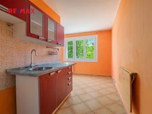 Prodej bytu 1+1, Plzeň, Smrková, 42 m2