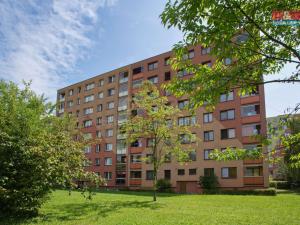 Pronájem bytu 2+1, Český Těšín, Polní, 43 m2