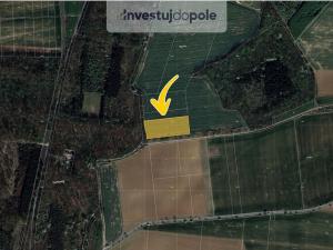 Prodej pole, Chýnice, 2550 m2