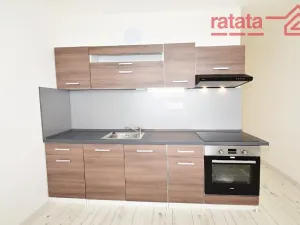 Pronájem bytu 2+1, Chomutov, Kamenný vrch, 58 m2