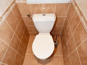 Pronájem bytu 2+1, Chomutov, Kamenný vrch, 58 m2