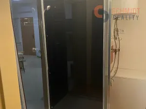 Pronájem bytu 1+kk, Hustopeče, Třebízského, 40 m2