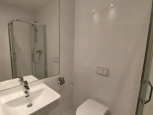 Pronájem bytu 1+kk, Praha - Smíchov, U Pernikářky, 20 m2