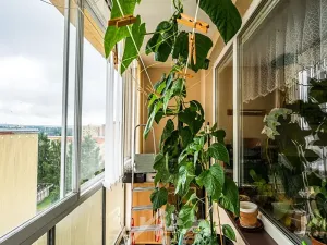 Prodej bytu 3+1, Jablonec nad Nisou, Mládí, 70 m2