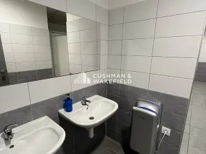 Prodej skladu, Nová Paka, 9000 m2