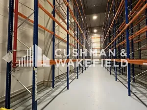 Prodej skladu, Nová Paka, 9000 m2