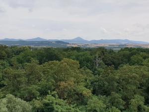 Prodej bytu 3+1, Krupka, Jabloňová, 82 m2