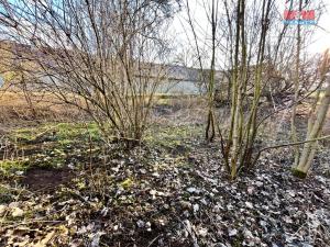 Prodej zahrady, Václavice, 902 m2