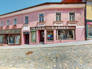 Pronájem obchodního prostoru, Třebíč - Vnitřní Město, Hasskova, 27 m2