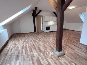 Pronájem bytu 1+kk, Rakovník, Havlíčkova, 58 m2