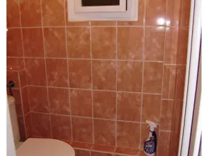 Pronájem bytu 2+1, Praha - Žižkov, Lucemburská, 53 m2