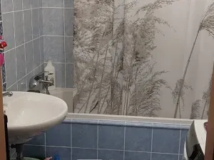 Pronájem bytu 1+kk, Tábor, Nad Řekou, 33 m2