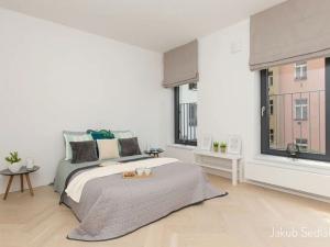 Pronájem bytu 4+kk, Praha - Žižkov, Kališnická, 112 m2