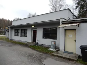 Prodej výrobních prostor, Červená Řečice, 12111 m2