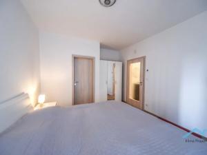 Pronájem bytu 2+kk, Praha - Žižkov, Olšanská, 52 m2