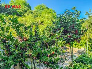 Prodej rodinného domu, Libušín, 55 m2