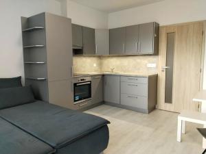 Pronájem bytu 1+kk, Plzeň, Na Chmelnicích, 38 m2
