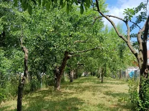 Prodej zahrady, Šumice, 781 m2