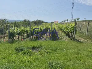 Prodej zahrady, Svatobořice-Mistřín, 2383 m2