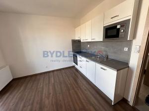 Pronájem bytu 1+1, České Budějovice, Hraniční, 35 m2