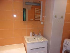 Pronájem bytu 2+kk, Teplice, U nádraží, 71 m2