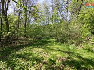 Prodej pozemku pro bydlení, Horšovský Týn - Plzeňské Předměstí, 1256 m2