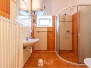 Pronájem bytu 1+1, Olomouc, Dukelská, 42 m2