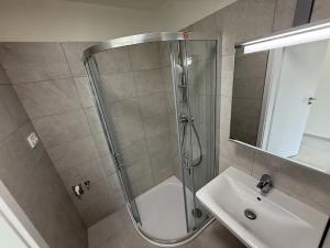 Pronájem bytu 1+kk, Brno, Křenová, 61 m2