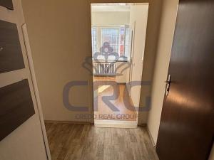 Pronájem bytu 1+1, Brno - Staré Brno, Nové sady, 46 m2