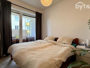 Pronájem bytu 1+kk, Brno - Staré Brno, Hybešova, 45 m2