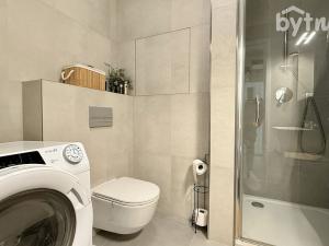 Pronájem bytu 1+kk, Brno - Staré Brno, Hybešova, 45 m2