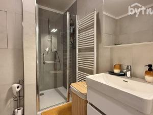 Pronájem bytu 1+kk, Brno - Staré Brno, Hybešova, 45 m2