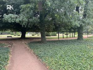 Pronájem bytu 1+kk, Poděbrady, Dvořákova, 25 m2