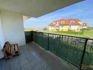 Pronájem bytu 1+kk, Holubice, Platanová, 48 m2