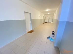 Pronájem bytu 1+kk, Holubice, Platanová, 48 m2