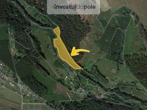 Prodej louky, Brzice - Žďár, 4230 m2
