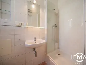 Pronájem bytu 1+1, Olomouc, tř. Svornosti, 20 m2