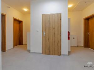 Prodej bytu 3+1, Janovice nad Úhlavou, Rozvojová zóna, 100 m2