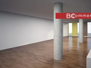 Pronájem obchodního prostoru, Brno, Polní, 460 m2