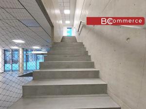 Pronájem obchodního prostoru, Brno, Polní, 460 m2