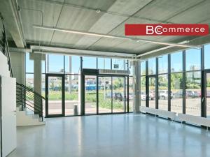 Pronájem obchodního prostoru, Brno, 427 m2