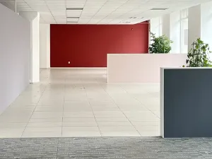 Pronájem obchodního prostoru, Brno, Zábrdovická, 530 m2