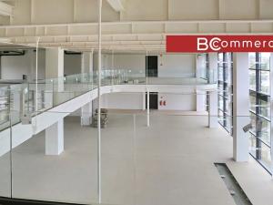 Pronájem kanceláře, Brno, Lazaretní, 900 m2